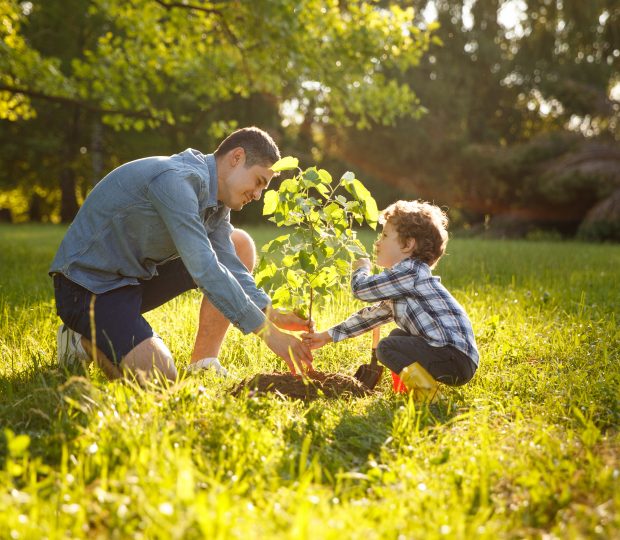 Un homme et son fils plantant un arbuste dans la nature